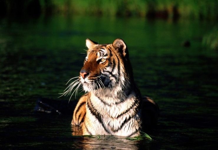 동사+목적어 의미이해